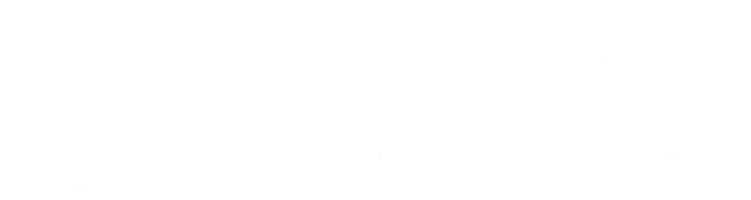 Accredited by NYSAIS Logo